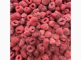 Зображення для оголошення Купую малину літню у великому обʼємі
