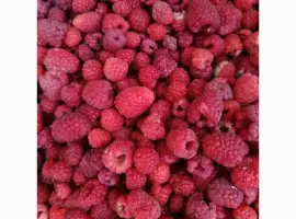 Зображення для оголошення Куплю малину