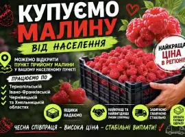 Зображення для оголошення Купимо малину сезон 2026