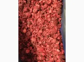 Зображення для оголошення Продам малину грис