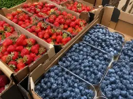 Зображення для оголошення Продаємо свіжу полуницю та свіжу лохину