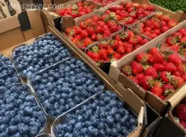 Зображення для оголошення Свіжа полуниця. Свіжа лохина. Оптом та в об’ємі