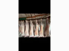 Зображення для оголошення Куплю овцы бараны на мясо