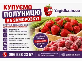 Зображення для оголошення Куплю Полуницю!На заморозку