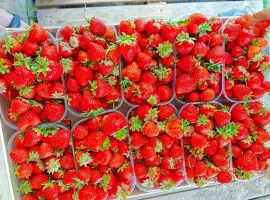 Зображення для оголошення Продам Полуницю
