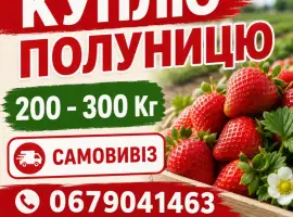 Зображення для оголошення Куплю полуницю на постійній основі 200-600 кг