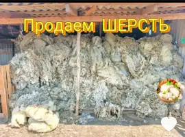 Зображення для оголошення Продам шерсть ( вовну) овечью
