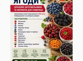 Зображення для оголошення Закуповуємо ягоди