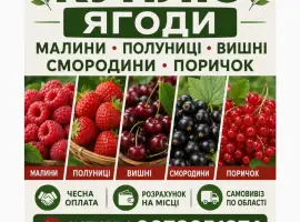 Зображення для оголошення Підпиємство купує ягоди Полуниць