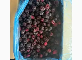 Зображення для оголошення Закуповуємо Ожину заморожену