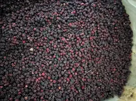 Зображення для оголошення Продам заморожену ожину оптом
