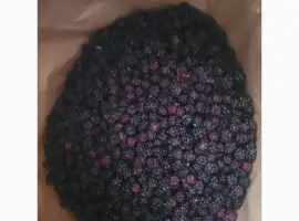 Зображення для оголошення Куплю ожину