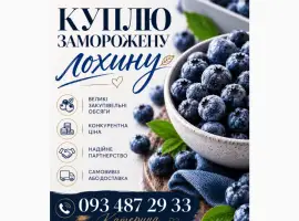 Зображення для оголошення Куплю лохину