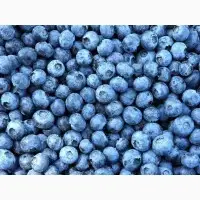 Зображення для оголошення Куплю Лохину заморожену культивовану