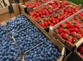 Зображення для оголошення Продаж свіжої ягоди