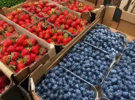 Зображення для оголошення Продаж свіжої полуниці та лохини