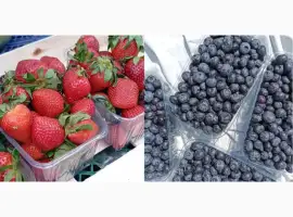 Зображення для оголошення Продам свіжу полуницю та лохину