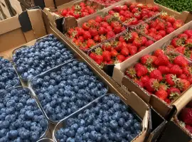 Зображення для оголошення Свіжа полуниця та лохина на продаж
