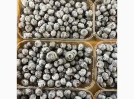 Зображення для оголошення ПРОДАМ голубику