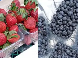 Зображення для оголошення Продаж свіжої полуниці та лохини