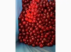 Зображення для оголошення Вишня шокова заморозка продам
