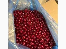 Зображення для оголошення Куплю вишню заморожену без кісточки