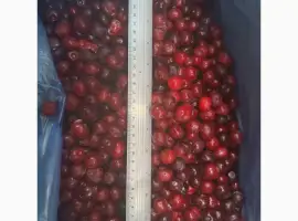 Зображення для оголошення Продам вишню заморожену