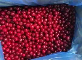 Зображення для оголошення Продам свіжоморожену вишню