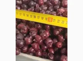 Зображення для оголошення Продаємо заморожену вишню без кісточки. Гурт від 20 тонн