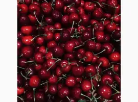 Зображення для оголошення Продам замороженную садовую вишню оптом оптом от 20 тонн