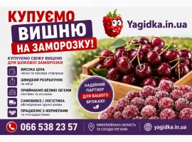 Зображення для оголошення Куплю вишню