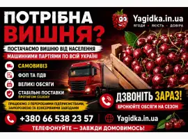 Зображення для оголошення Продам Вишню