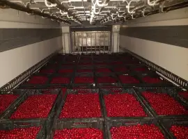 Зображення для оголошення Продам ВИШНЮ заморожену з кісточкой