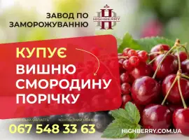 Зображення для оголошення Купуємо ВИШНЮ