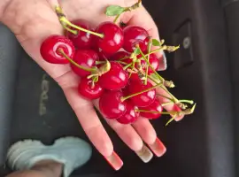 Зображення для оголошення Продам вишню