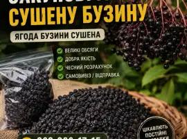 Зображення для оголошення Куплю сушену бузину