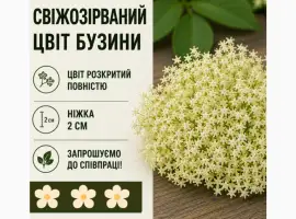 Зображення для оголошення Закуповуємо свіжозірваний цвіт бузини запрошуємо до співпраці