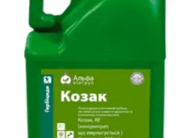 Зображення для оголошення Гребицид Козак