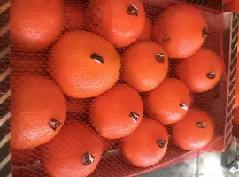 Зображення для оголошення Продаем апельсины