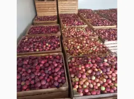 Зображення для оголошення Продам яблука
