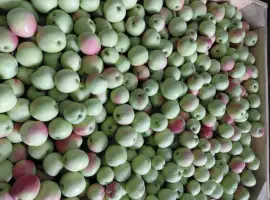 Зображення для оголошення Продам яблука