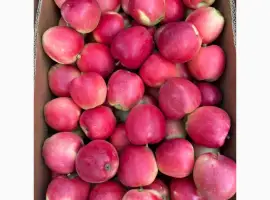 Зображення для оголошення Продам яблука Гала