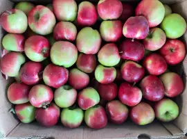 Зображення для оголошення Продам яблука