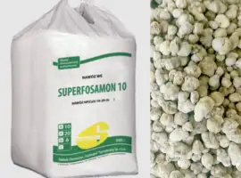 Зображення для оголошення Суперфосамон Superfosamon 10 NP (CaS) 10-20 (6-30) Siarkopol Сяркополь Польща
