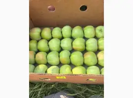 Зображення для оголошення Яблука Симиренко