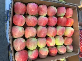 Зображення для оголошення Продам яблука Пірус