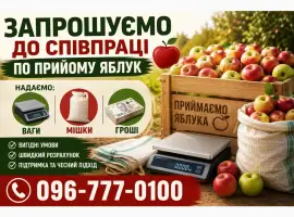Зображення для оголошення Шукаємо заготівельників яблук