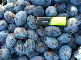 Зображення для оголошення Продам сливу Стенлей
