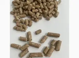 Зображення для оголошення Висівка пшенична оптом