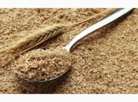 Зображення для оголошення Висівки пшеничні насипом / wheat bran export